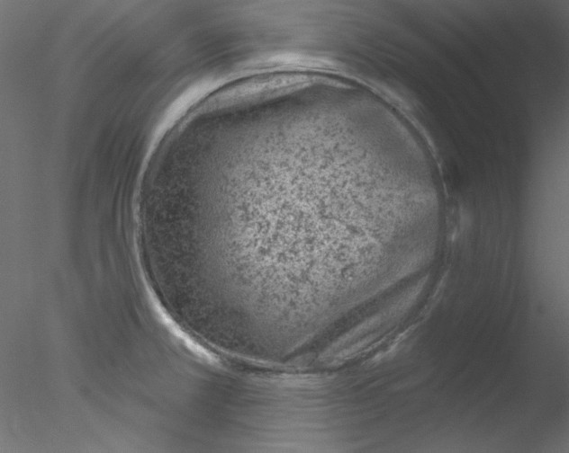 X0000076401381200611031710