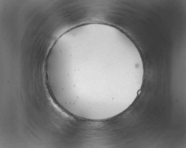 X0000076401382200611031710