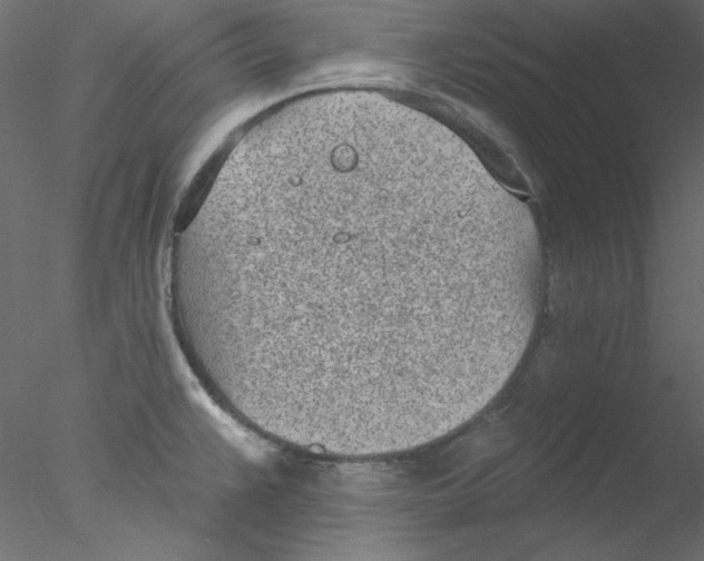 X0000076401383200611031710