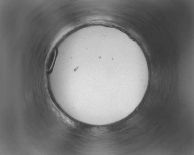 X0000076401384200611031710