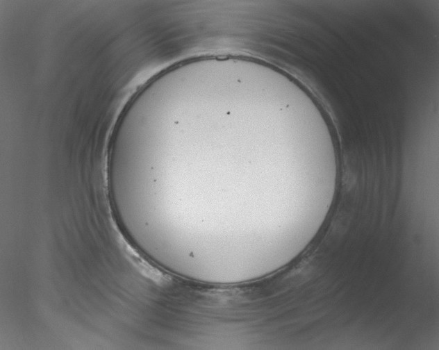 X0000076401388200611031710