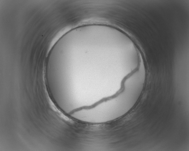 X0000076401390200611031710