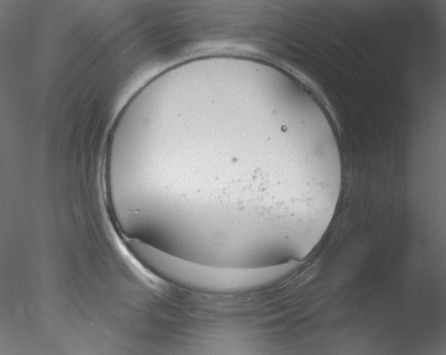 X0000076401391200611031710