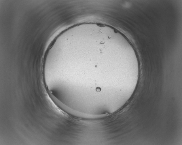 X0000076401392200611031710