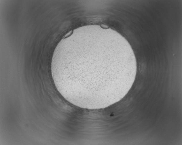 X0000076401393200611031709