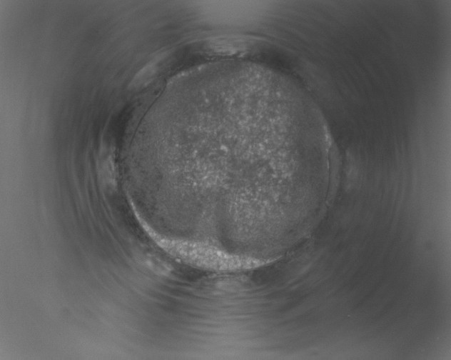 X0000076401394200611031709