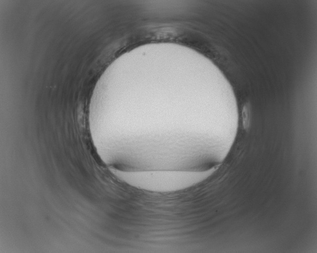 X0000076401395200611031709