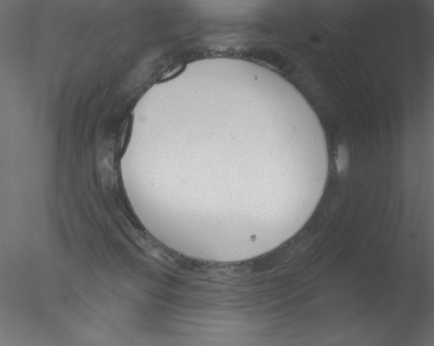 X0000076401396200611031709