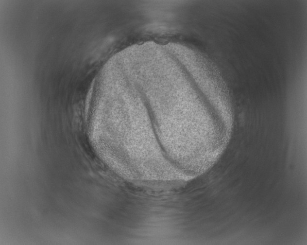 X0000076401397200611031709