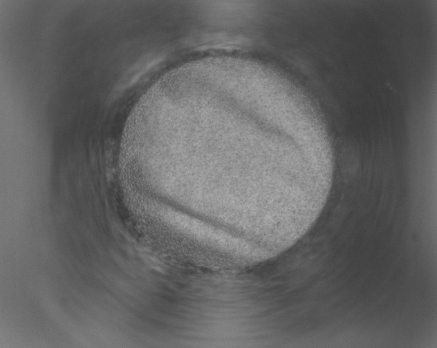 X0000076401399200611031709