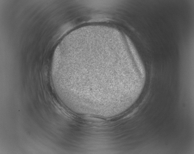 X0000076401401200611031710