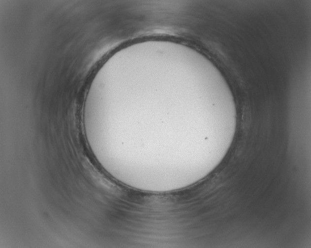 X0000076401404200611031710