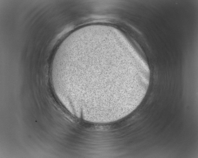 X0000076401411200611031710