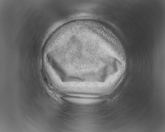 X0000076401413200611031710