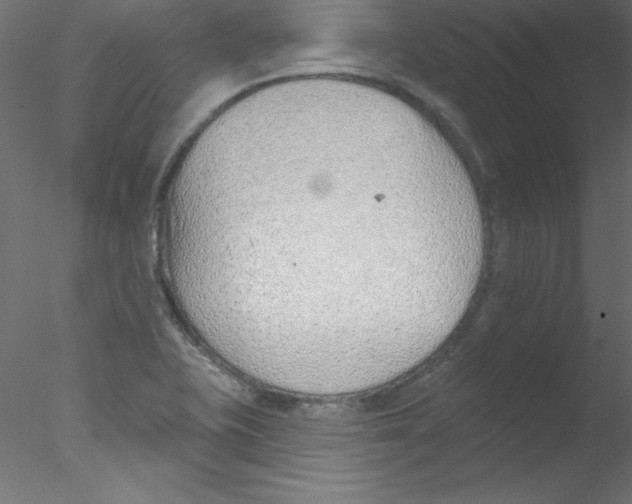 X0000076401415200611031710