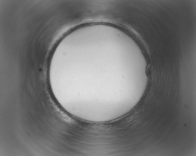 X0000076401416200611031710