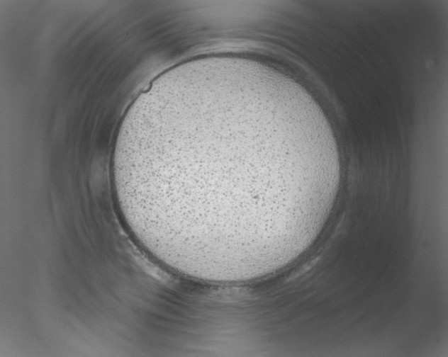 X0000076401417200611031710