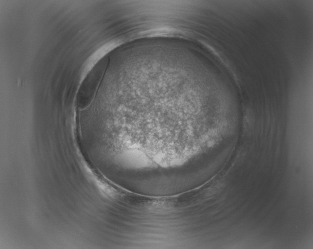 X0000076401418200611031710