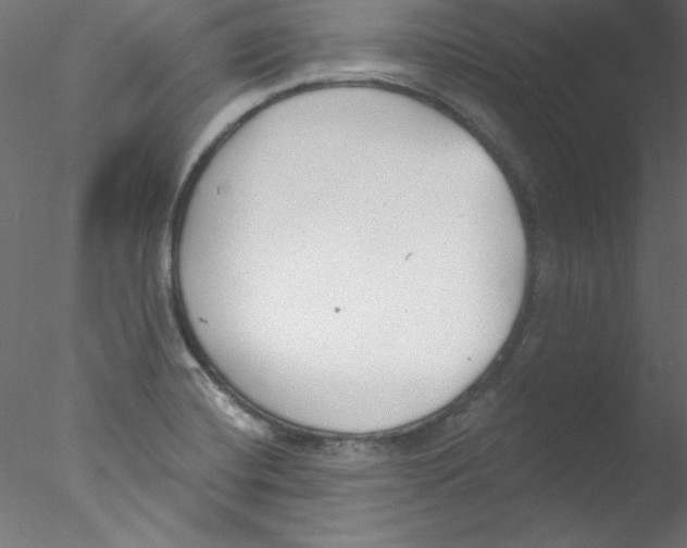 X0000076401420200611031710