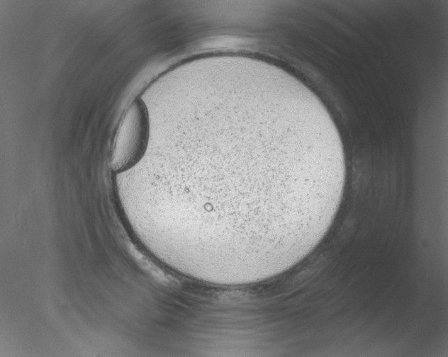 X0000076401421200611031710