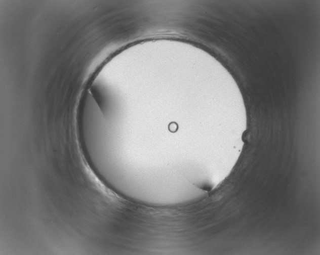 X0000076401422200611031710