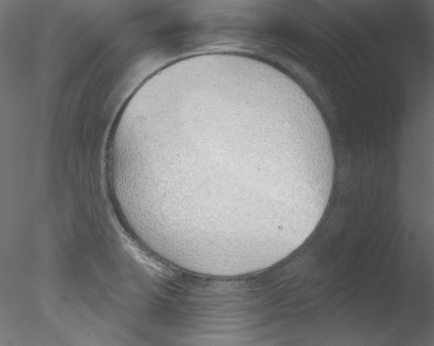 X0000076401423200611031710