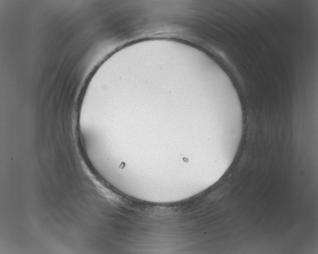 X0000076401424200611031710