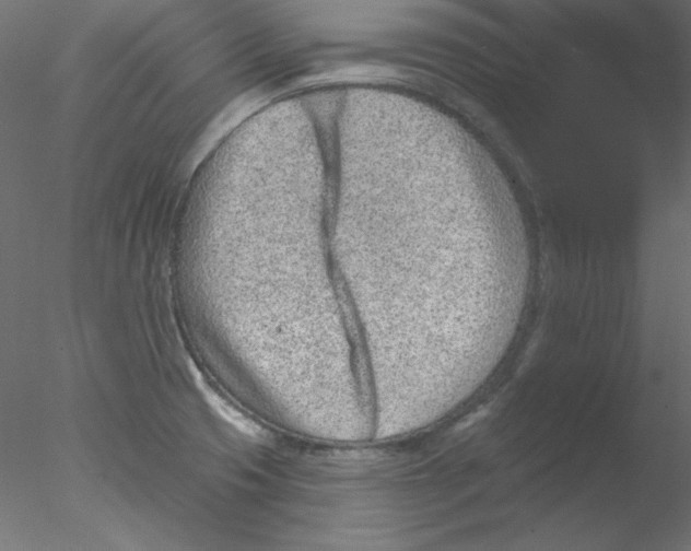 X0000076401425200611031710