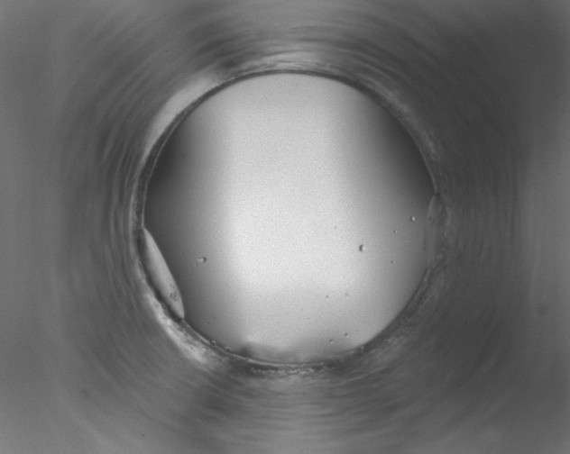 X0000076401426200611031710