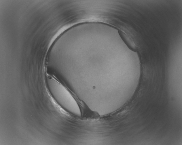 X0000076401428200611031710