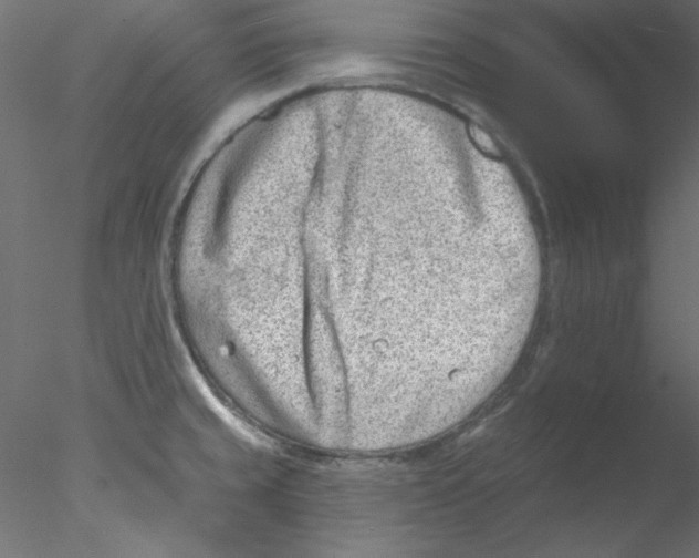 X0000076401429200611031710