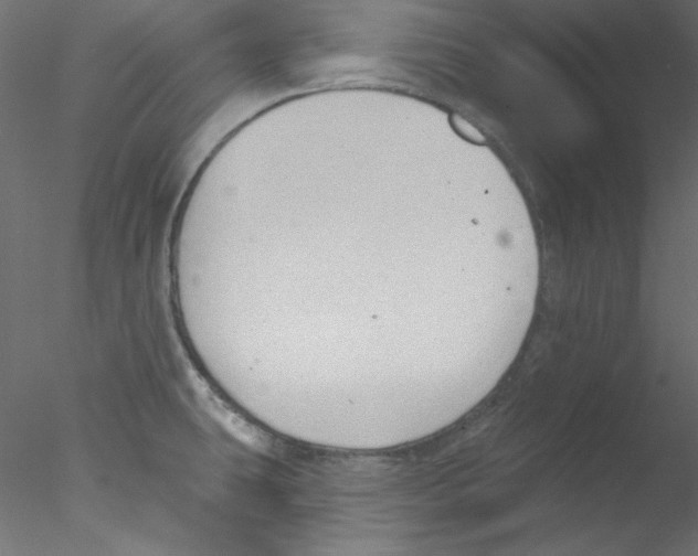 X0000076401431200611031710