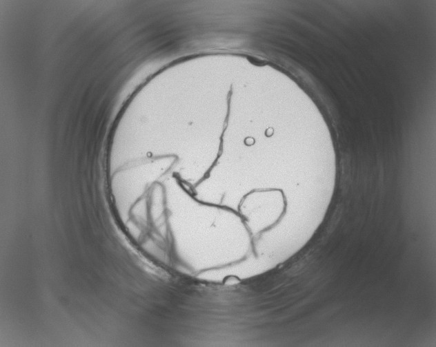 X0000076401432200611031710