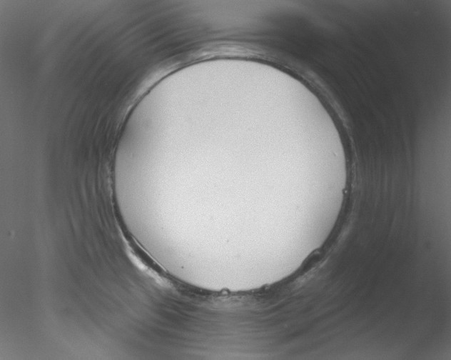 X0000076401433200611031710