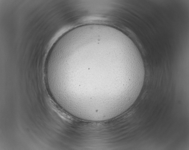 X0000076401435200611031710