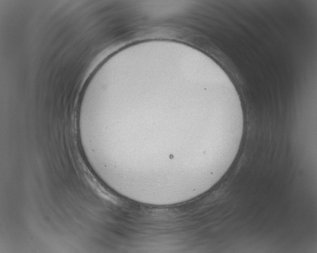 X0000076401436200611031710