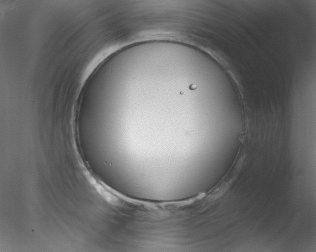 X0000076401438200611031710