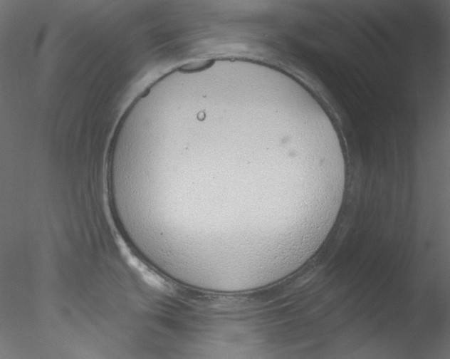 X0000076401439200611031710