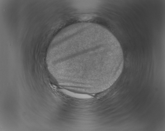 X0000076401441200611031709