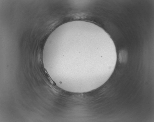 X0000076401444200611031709