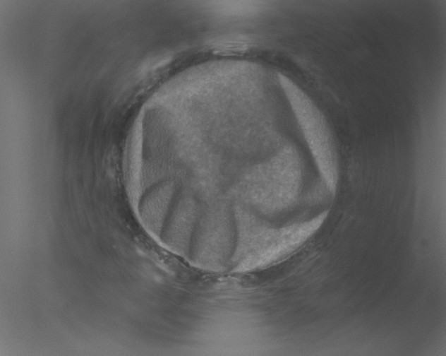 X0000076401445200611031709