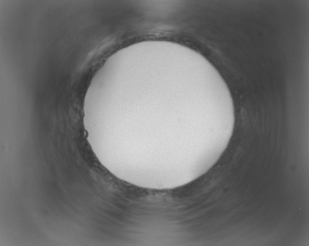 X0000076401447200611031709