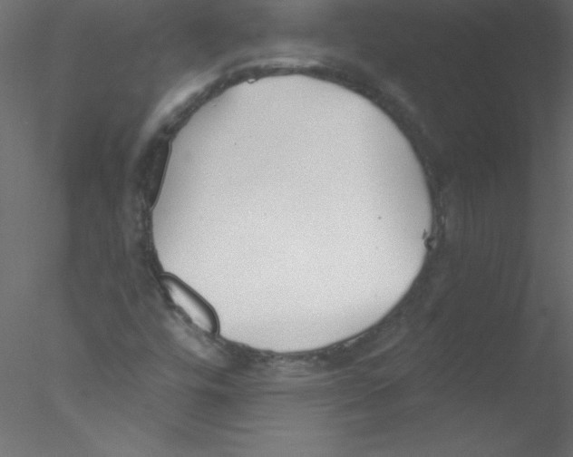 X0000076401448200611031709