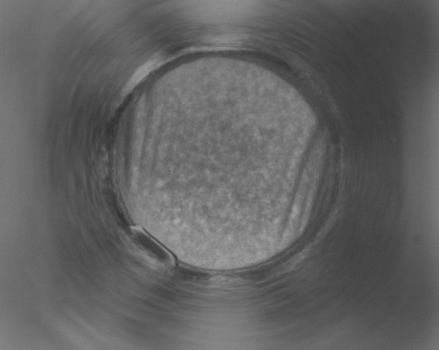 X0000076401449200611031709