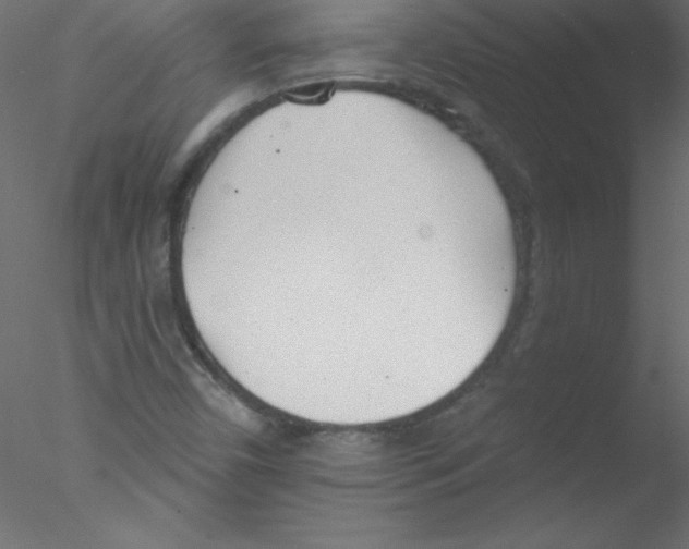 X0000076401450200611031709