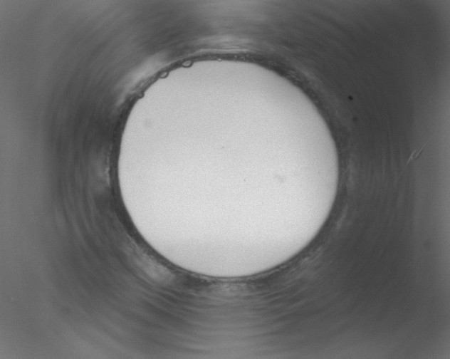 X0000076401451200611031709