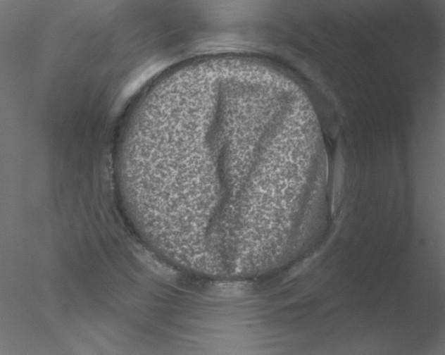 X0000076401453200611031709