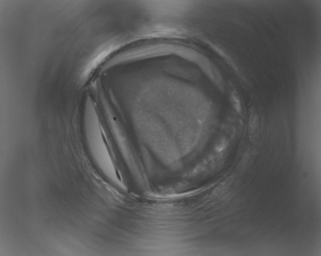 X0000076401455200611031709