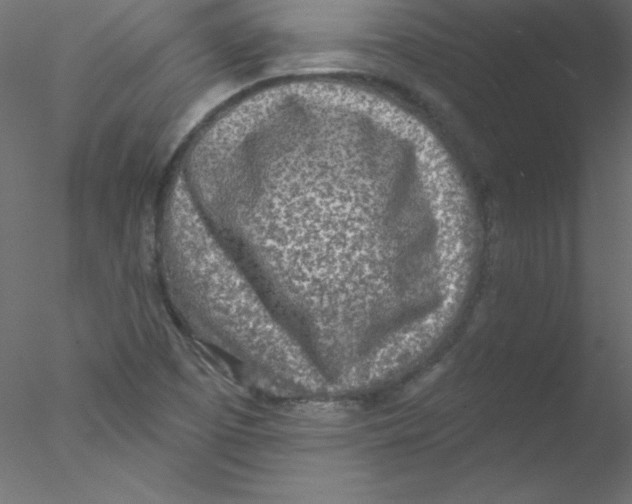 X0000076401457200611031709