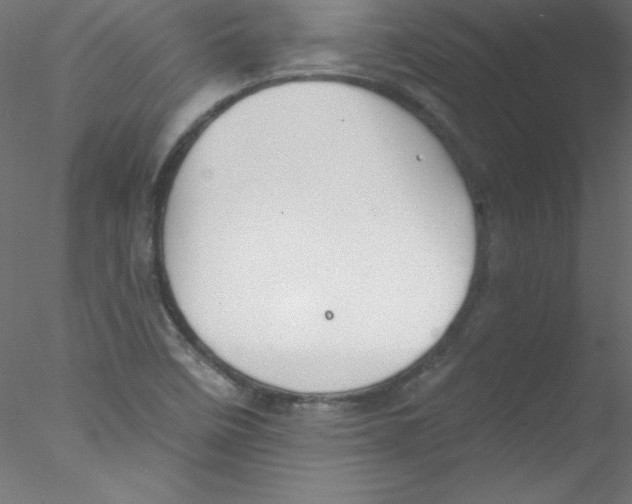 X0000076401458200611031709